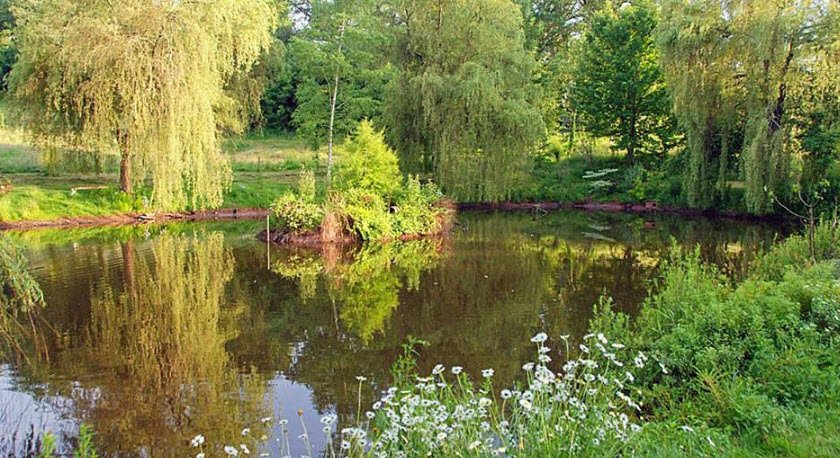 Arboretum de la Tuillière, Ayen, France, France